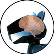 Cognitive Robotics