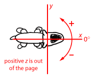 x and y axis ('forward' and 'left' respectively)